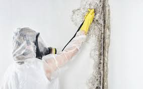 Best HVAC Mold Inspection and Cleaning  in Sargent, TX